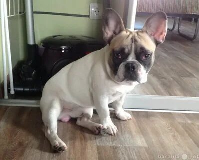 Французское авито