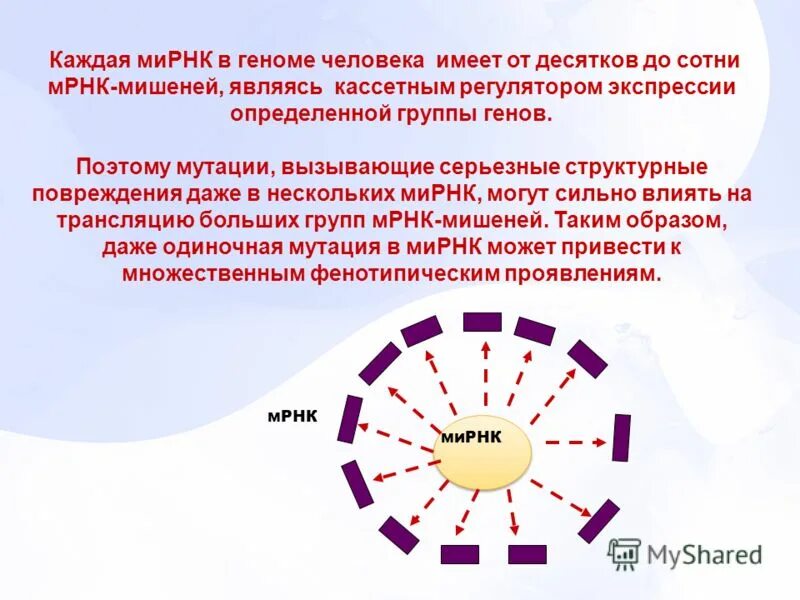 Интерферирующие рнк функции. Рнк интерференция механизм. Малые интерферирующие рнк. Рнк интерференция механизм. Структура малых интерферирующих рнк.