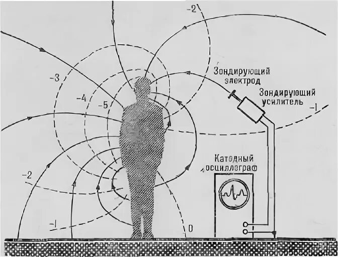 Микулин а.а. активное долголетие (моя система борьбы со старостью). Активное долголетие Микулин упражнения. Книга долголетие микулина