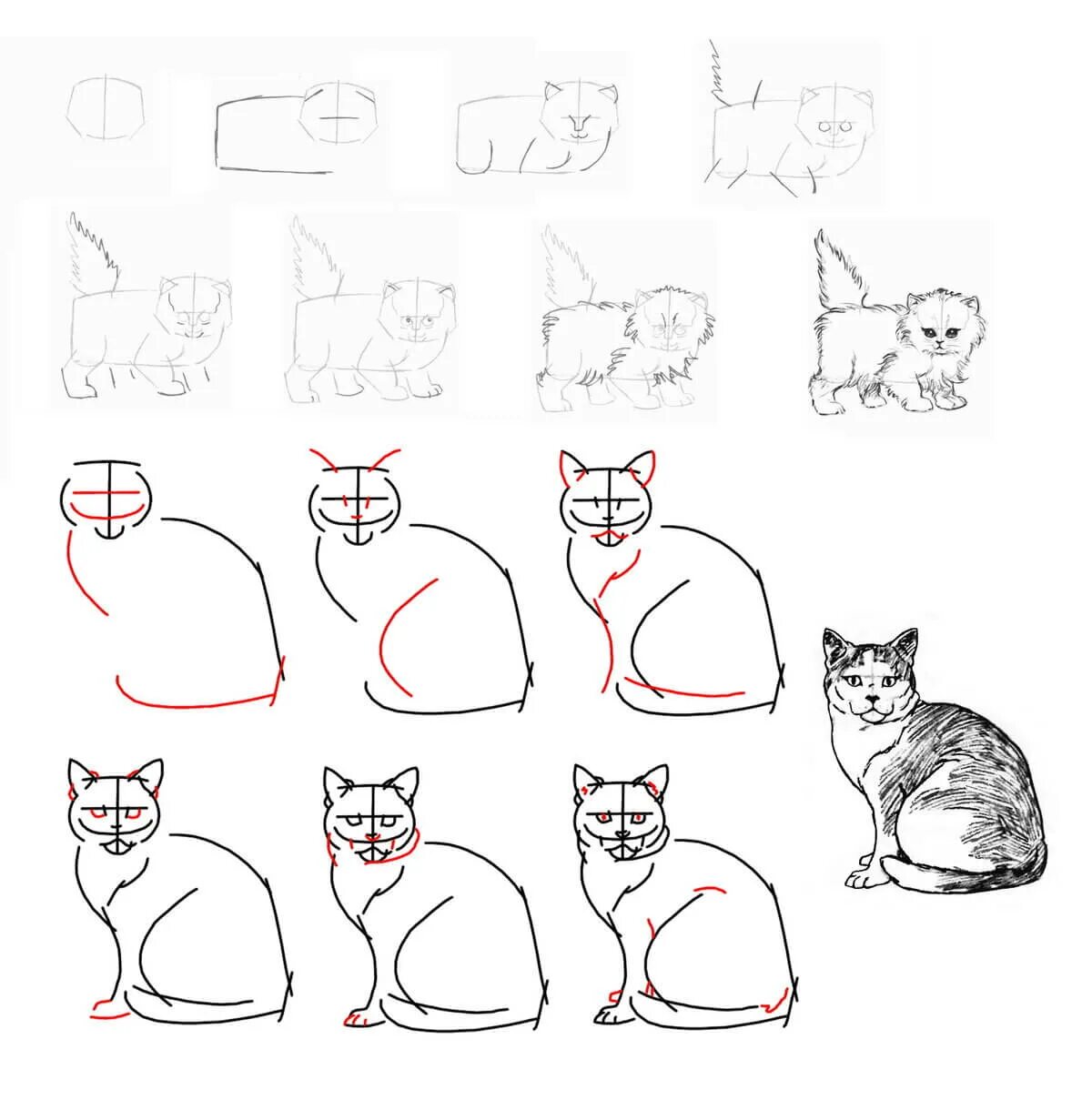 Как нарисовать катнапа. Схема рисования кошки. Поэтапное рисование котенка. Рисуем кота поэтапно. Пошаговое рисование кота.