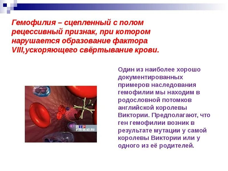 Гемофилия нмо. Гемофилия сцепленное с полом. сцепленное с полом наследование гемофилия. презентация на тему гемофилия.