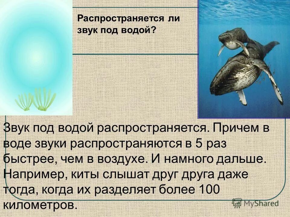 Объясни как возникает звук. Распространение звука в воде. Распространение звука под водой. Где распространяется звук. Звук под водой.