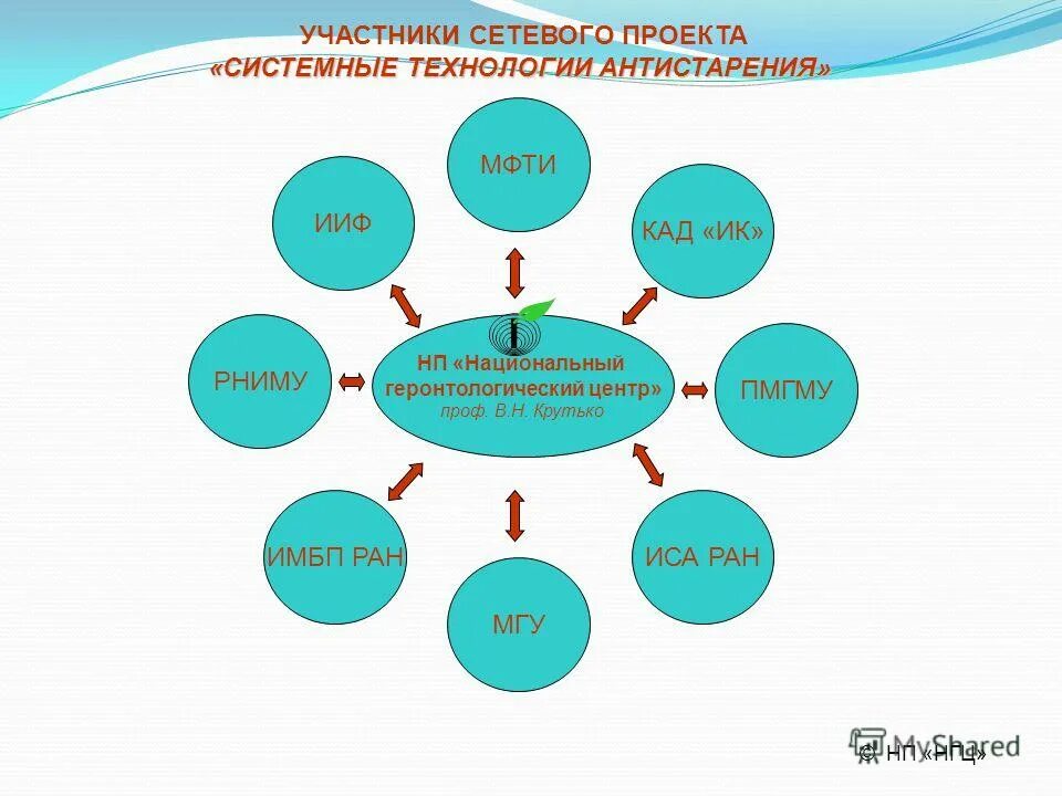и. системная паутинка проекта в доу. технология системные проекты. классификация методов системного анализа. методология системного анализа.