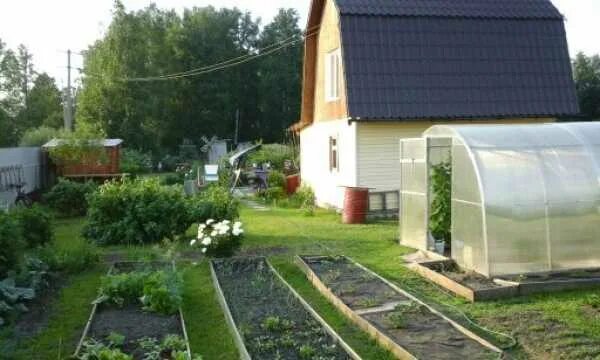 эжва фазенда. дача садовое общество садовая. павино новосибирская область. сады энергетик. дача садовое общество садовая.