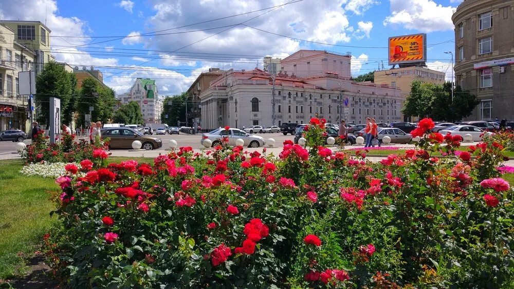 Как выглядит Воронеж. Воронеж достопримечательности центр проспект революции. Воронеж куда. Центральные улицы Воронежа где погулять. Сайт воронеж где