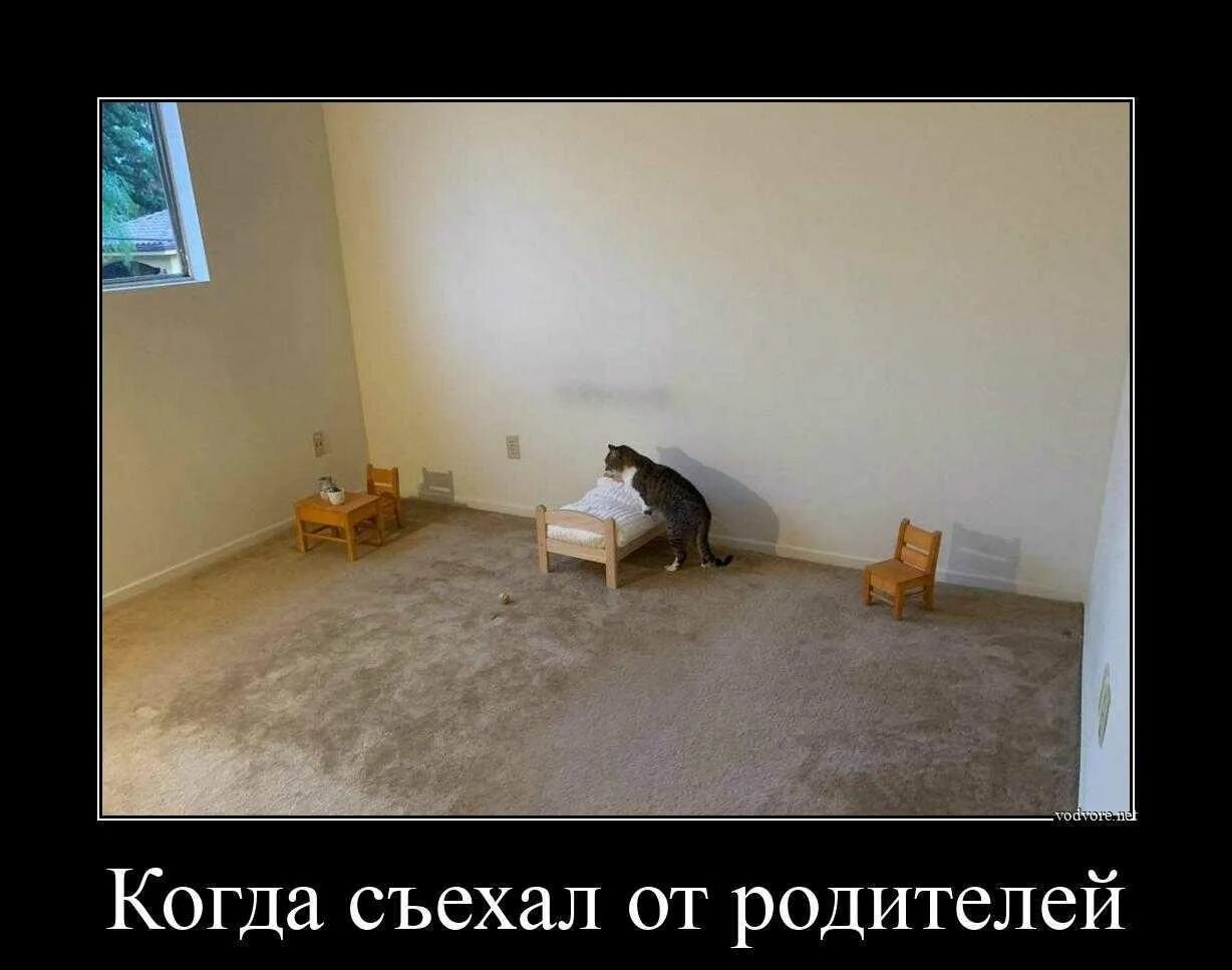 Почему живет отдельно от