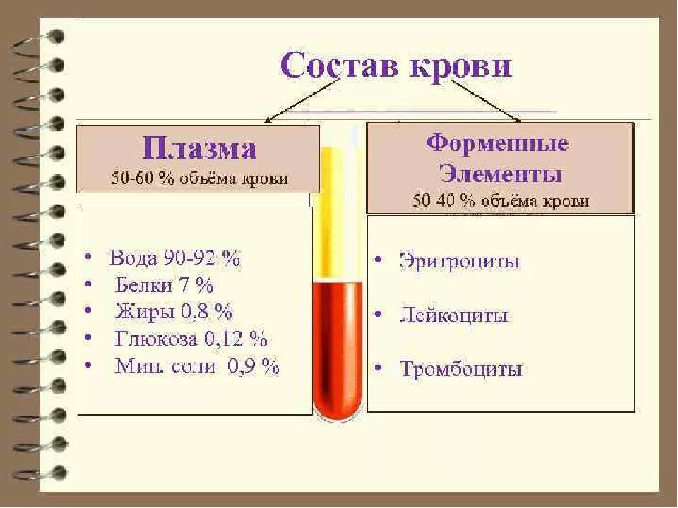 Состав плазмы крови схема. Из чего состоит плазма крови 8 класс биология. Состав крови плазма и форменные элементы. Состав плазма 60% 40%форменные элементы. Определение количественного состава крови