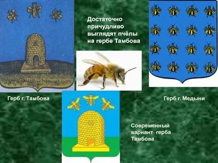 Пчелы тамбовская область