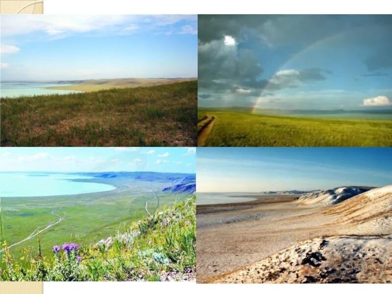 Даурский заповедник в какой природной зоне. Даурский заповедник забайкальского. заповедники забайкалья. даурский заповедник озера забайкальского края. даурский заповедник климат.