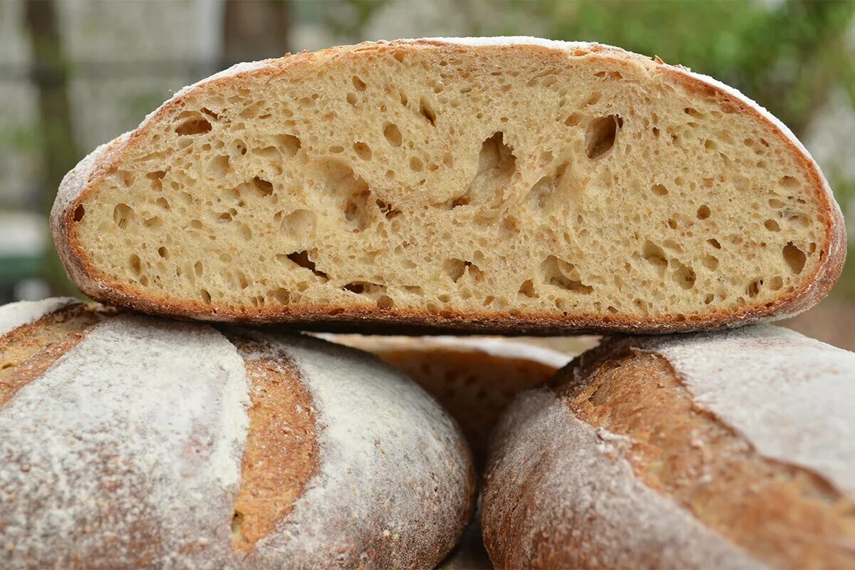 Приготовление хлеба из пшеничной муки. Амарантовый хлеб Амарант. Амарант Славянский хлеб. Амарант мука хлеб. Хлеб из амарантовой муки.