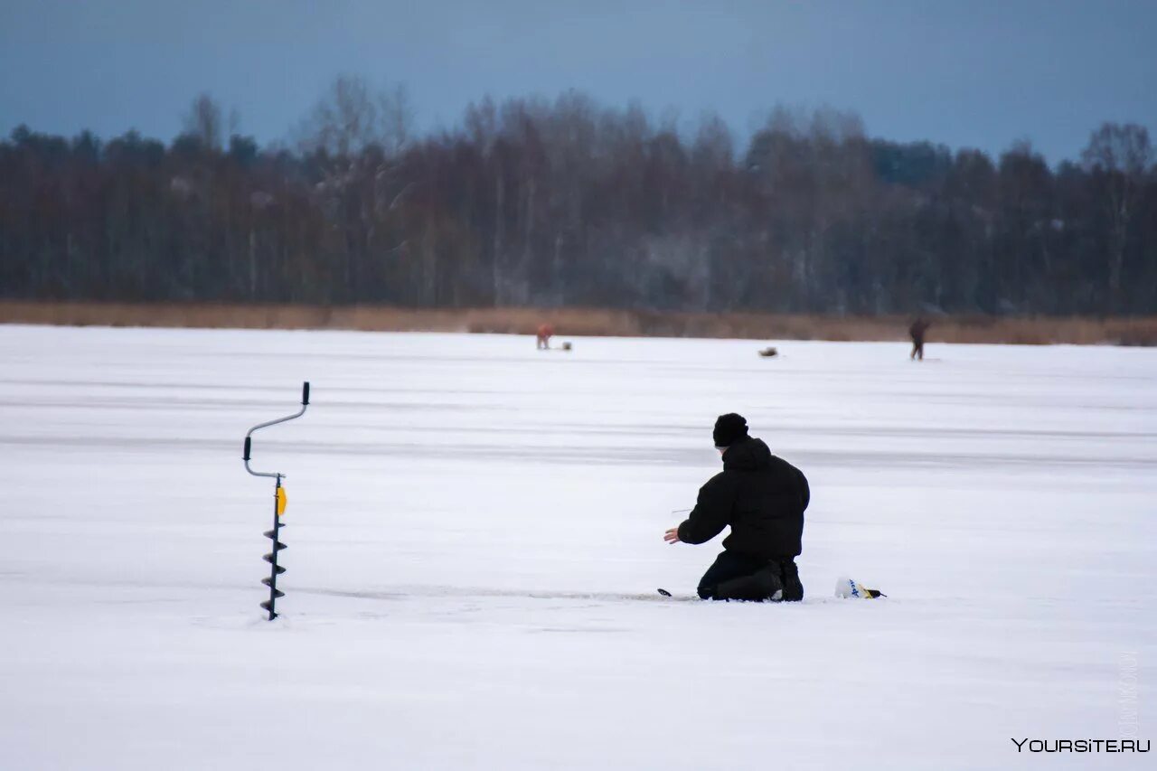 Ловлю трек. Рыболовный спорт зима. Спортивная рыбалка зимняя Федерация. Соболев зимний рыболовный спорт. Удомля рыбалка зимой.