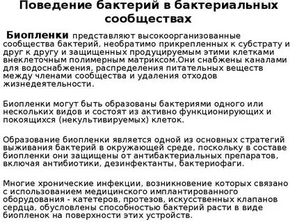 Сообщества бактерий