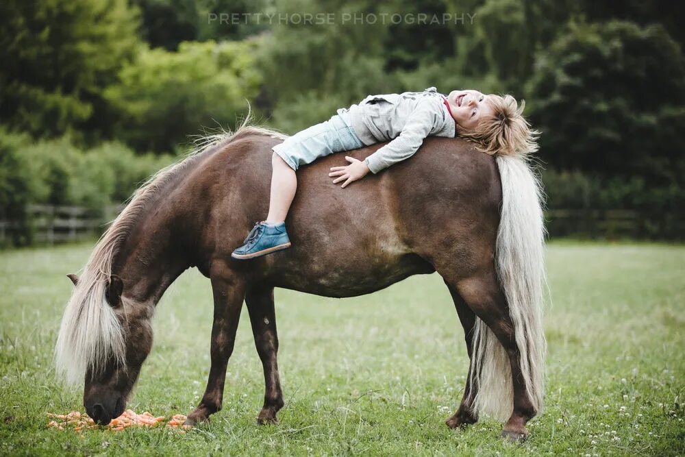 Лошадь лежит. Фотосессия с лошадьми дети. Лежачая лошадь.