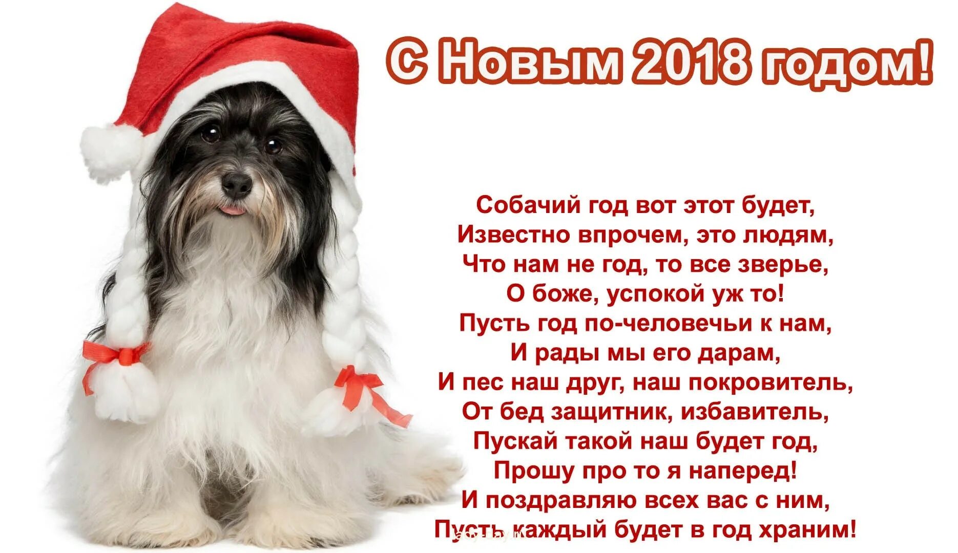 С уходящим годом собаки. Поздравления с годом собаки. поздравление собаки с новым годом. поздравления с новым годом 2018. собаке годик поздравления.