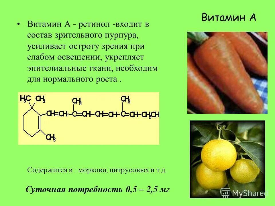 Что содержится в классе. Что содержится в классе