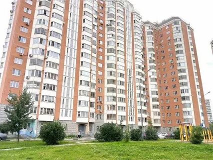 Янтарный московская область
