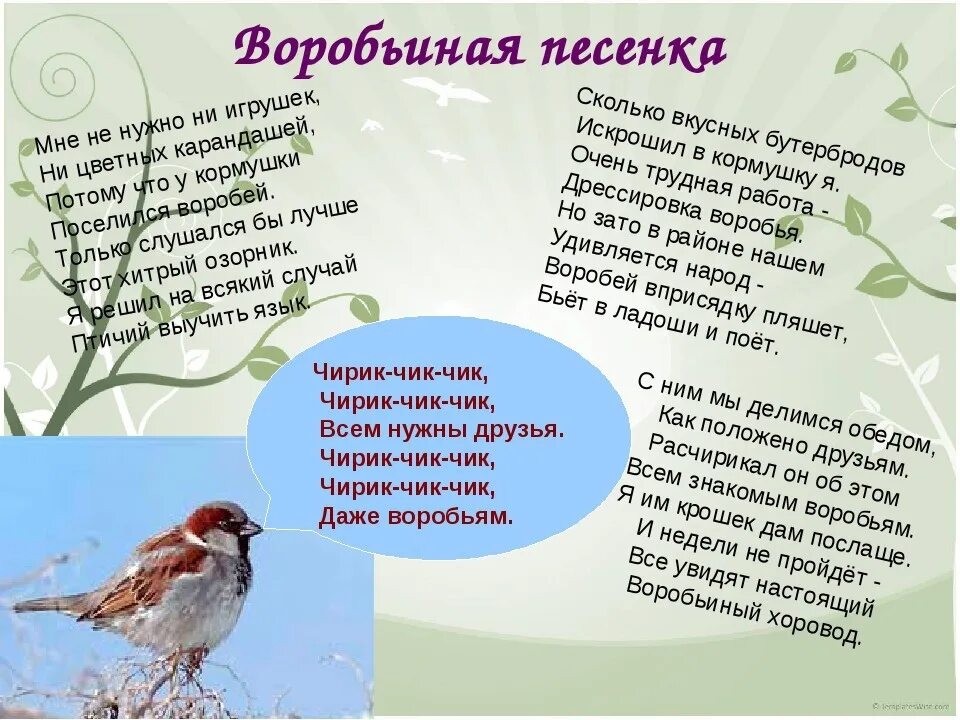 Песни всем нужны друзья. Воробей для детского сада. Песенка Воробей. Песня про воробья текст. Воробьиная песенка текст.