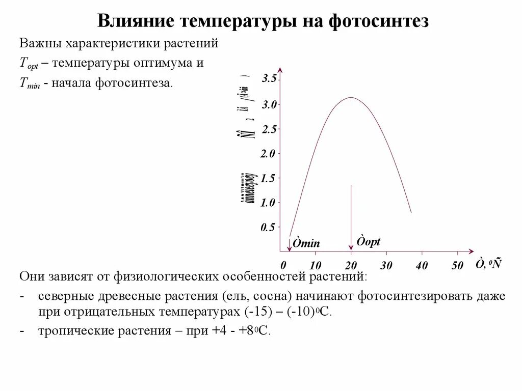 Оптимальная температура для фотосинтеза. Зависимость интенсивности фотосинтеза от температуры. Влияние температуры на фотосинтез. Зависимость интенсивности фотосинтеза от температуры листа.