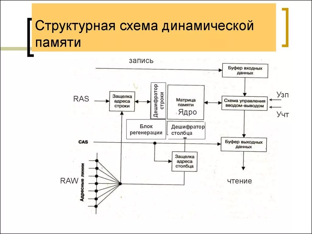 Структурная схема динамической памяти. Схема ячейки памяти динамического ОЗУ. Структурная схема оперативной памяти. Обобщенная структурная схема оперативной памяти. Динамическая память элемент памяти