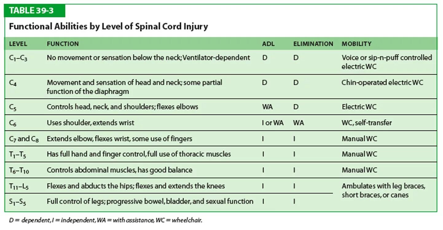 Functional Table. Medications for Spinal Cord injury. Spinal Cord injury in us statistics. Вы-110 functional lesion. Levels of functioning