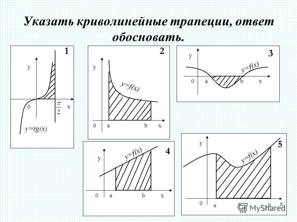 Криволинейная трапеция виды