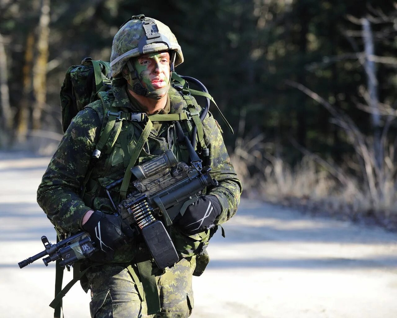 Canadian army