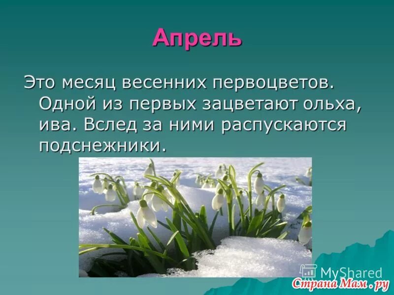 Текст март первый весенний. Весенние месяцы. Апрель месяц весны. Апрель месяц весенних первоцветов. Доклад о весне.