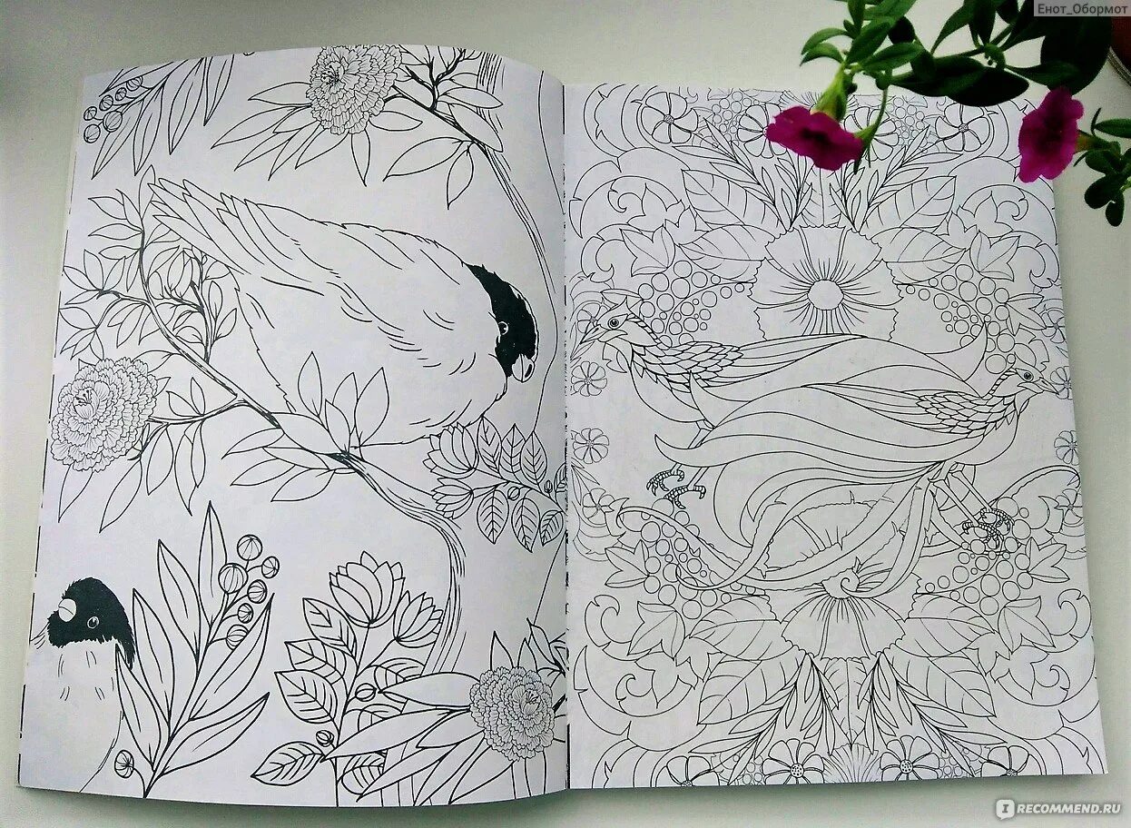 Краска для раскрашивания на айпаде легкие. Раскраски антистресс для первоклассника. Раскраска антистресс. Детские книжки раскраски. Раскраска смешарики хорошо и плохо.