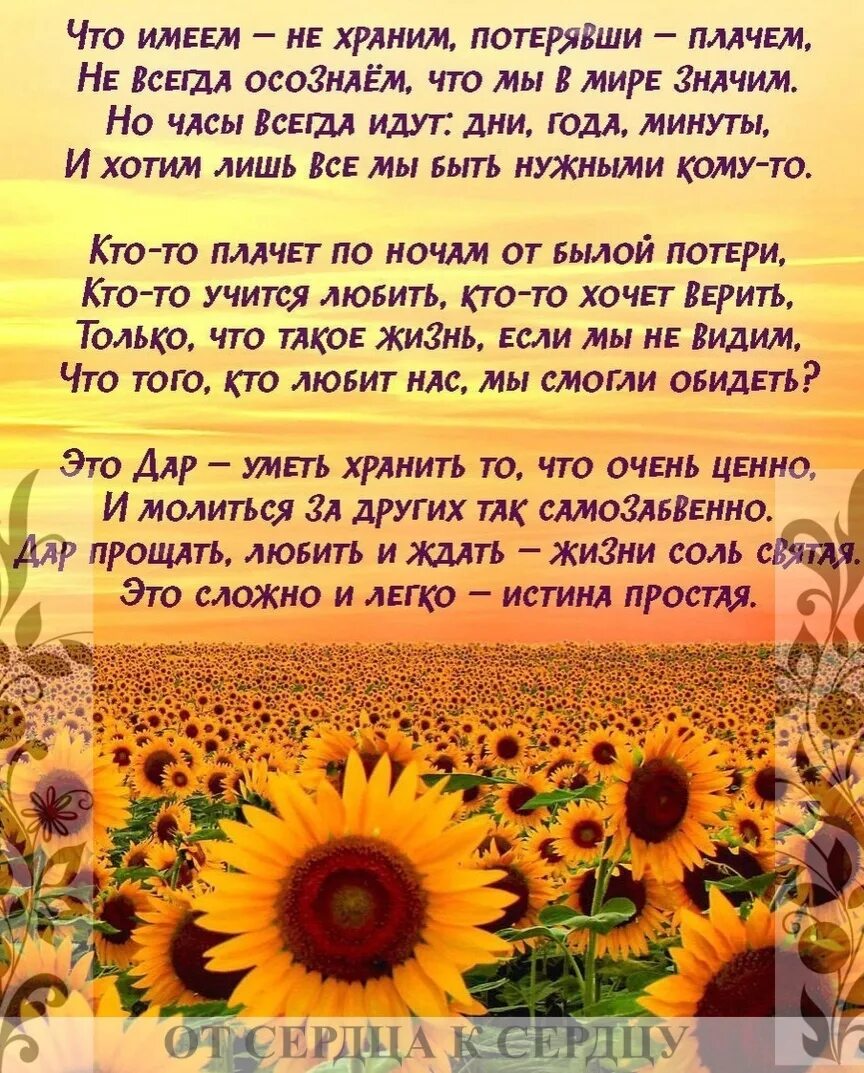 Что имеешь не хранишь потерявши плачешь. Что имеем не храним потерявши плачем. что имеем не храним потерявши плачем стих. что имеем не храним. поговорка что имеем не храним потерявши плачем.