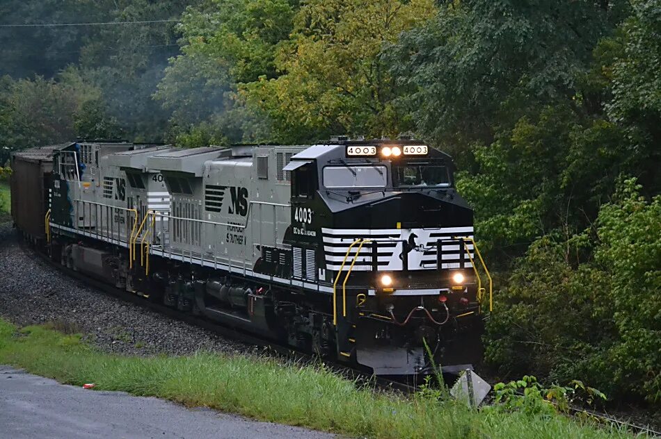 Ns ms