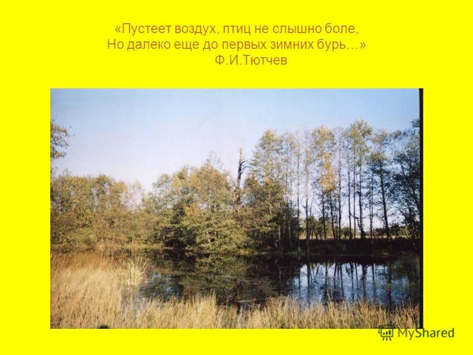 Пустеет воздух птиц не слышно боле. Пустеет воздух птиц. Пустеет воздух птиц не слышно боле иллюстрация. Птиц не слышно боле.