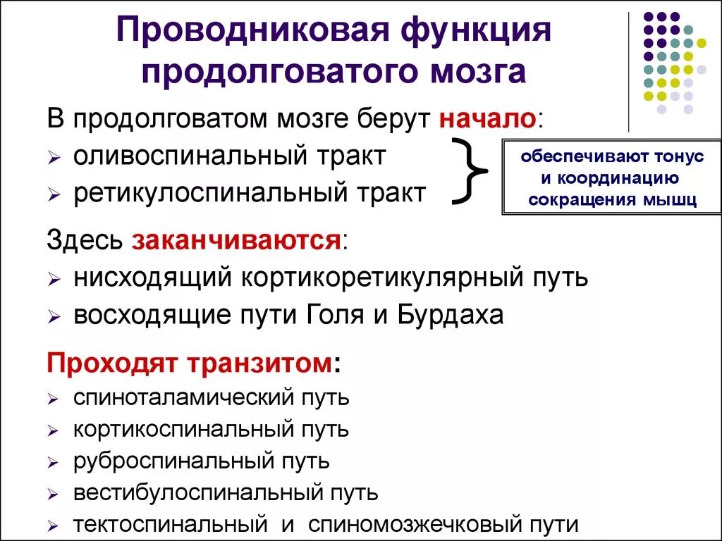 Какой мозг выполняет проводниковую функцию. Проводниковая функция продолговатого мозга. проводниковая функция продолговатого мозга физиология. рефлекторная функция продолговатого мозга. проводниковая функция продолговатого мозга и моста.
