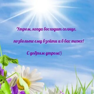 Утром я солнце