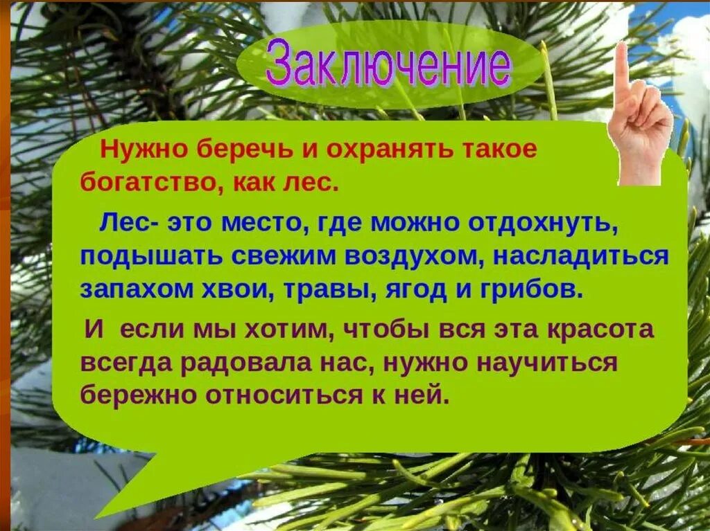 Почему люди должны охранять природу. Почему надо беречь Лис. Лес надо беречь. Почему нужно охранять лес. Почему нужно беречь лес.