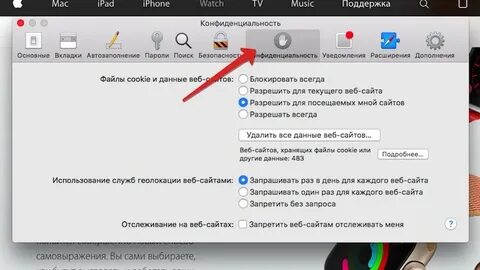 Куки в сафари