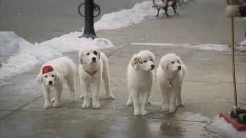 Санта лапуса русском языке