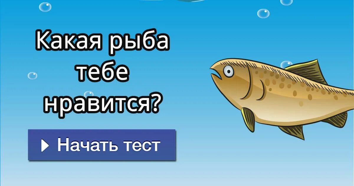 Тест по рыбам 8 класс. Какая ты рыбка. Тест какая ты рыба. Какая ты рыбка тест. Рыбы зачет.