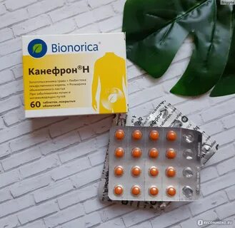 Канефрон мочегонный или нет