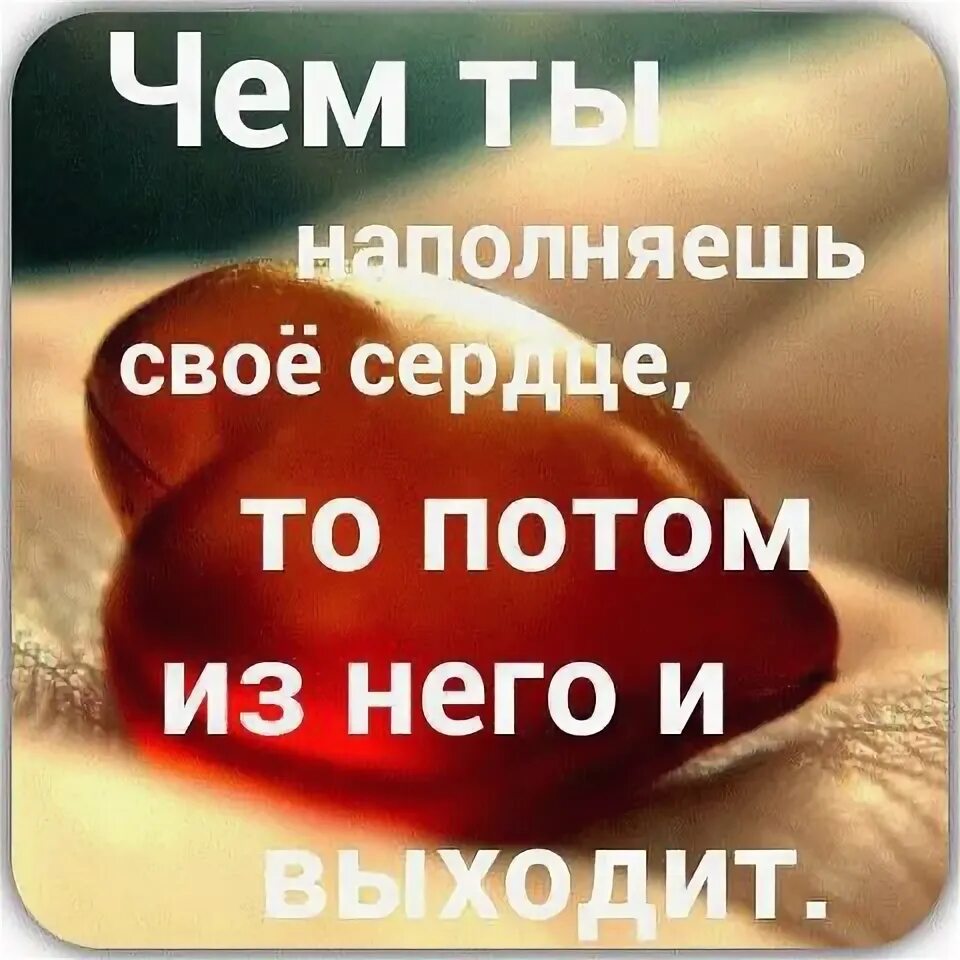 Больше всего хранимого храни сердце свое. Отдай свое сердце. Из доброго сокровища сердца своего выносит доброе. Сокровища сердца. Сердце не вынесет