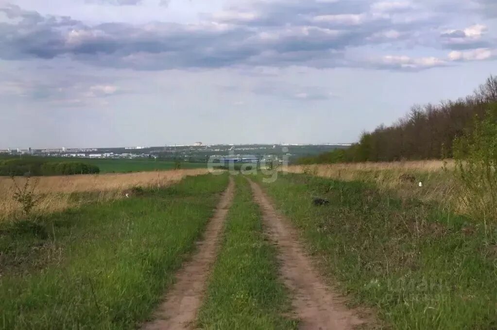 Поселок ясный воронеж. Снт шинник-1 воронеж. Участки под строительство воронеж. Земельные участки воронеж. Поселок буденный масловка воронеж на карте фото.