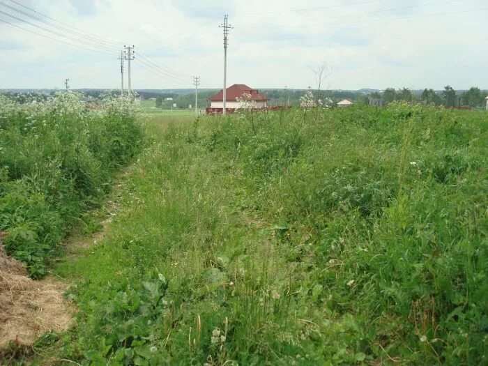 Деревня Кузяево Дмитровский район. Д. Кузяево, Дмитровский район, МО. Кузяево Раменский район. СНТ Кузяево Раменский район. Купить землю в дмитровском