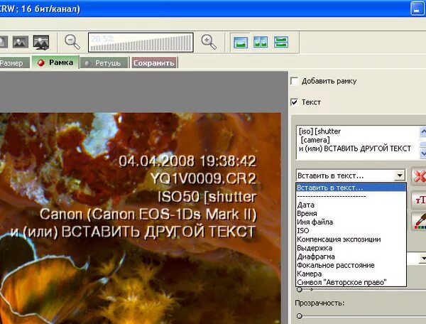 программа надпись. программа для надписей на фото. как сделать анимированный текст в фотошопе. программа для надписей на фото. создать красивый текст программа.
