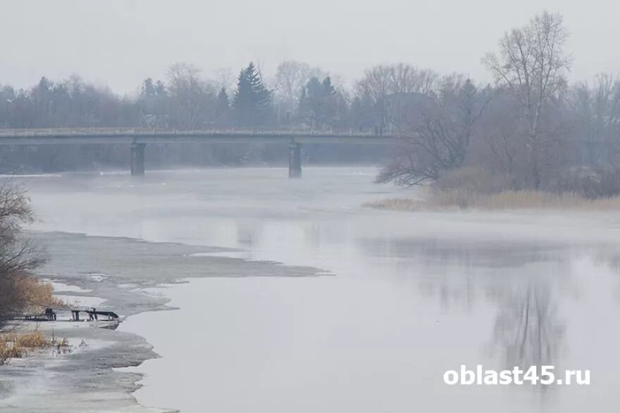 Уровень воды в реке тобол звериноголовское. Река Тобол Курган. Тобол 2023 Курган. Курганская область мост река Тобол. Главная река Кургана Тобол.