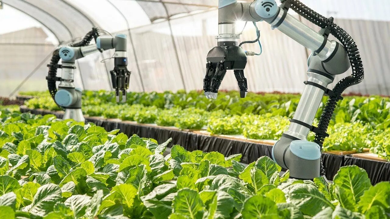 Робототехника в сельском хозяйстве. Промышленность и сельское хозяйство ИИ. Роботы для сбора урожая. Искусственный интеллект в сельском хозяйстве. Ии в сельском хозяйстве