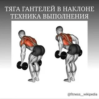 Как делать тягу гантелей