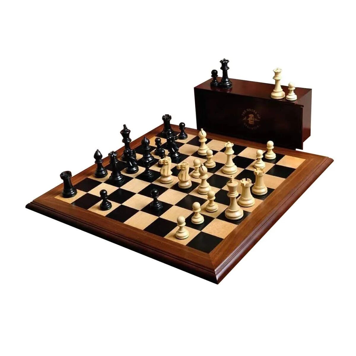 Виды шахматных игроков