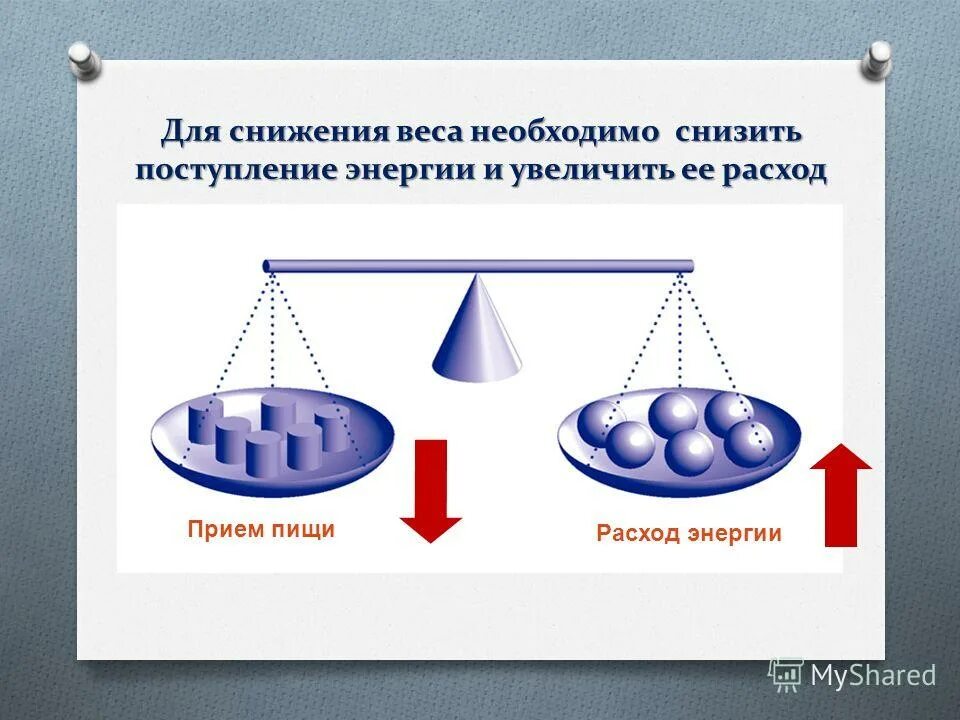 доклад про весы. прибор для измерения веса. весы cas lp-15r основные части. виды весов. весов для взвешивания.