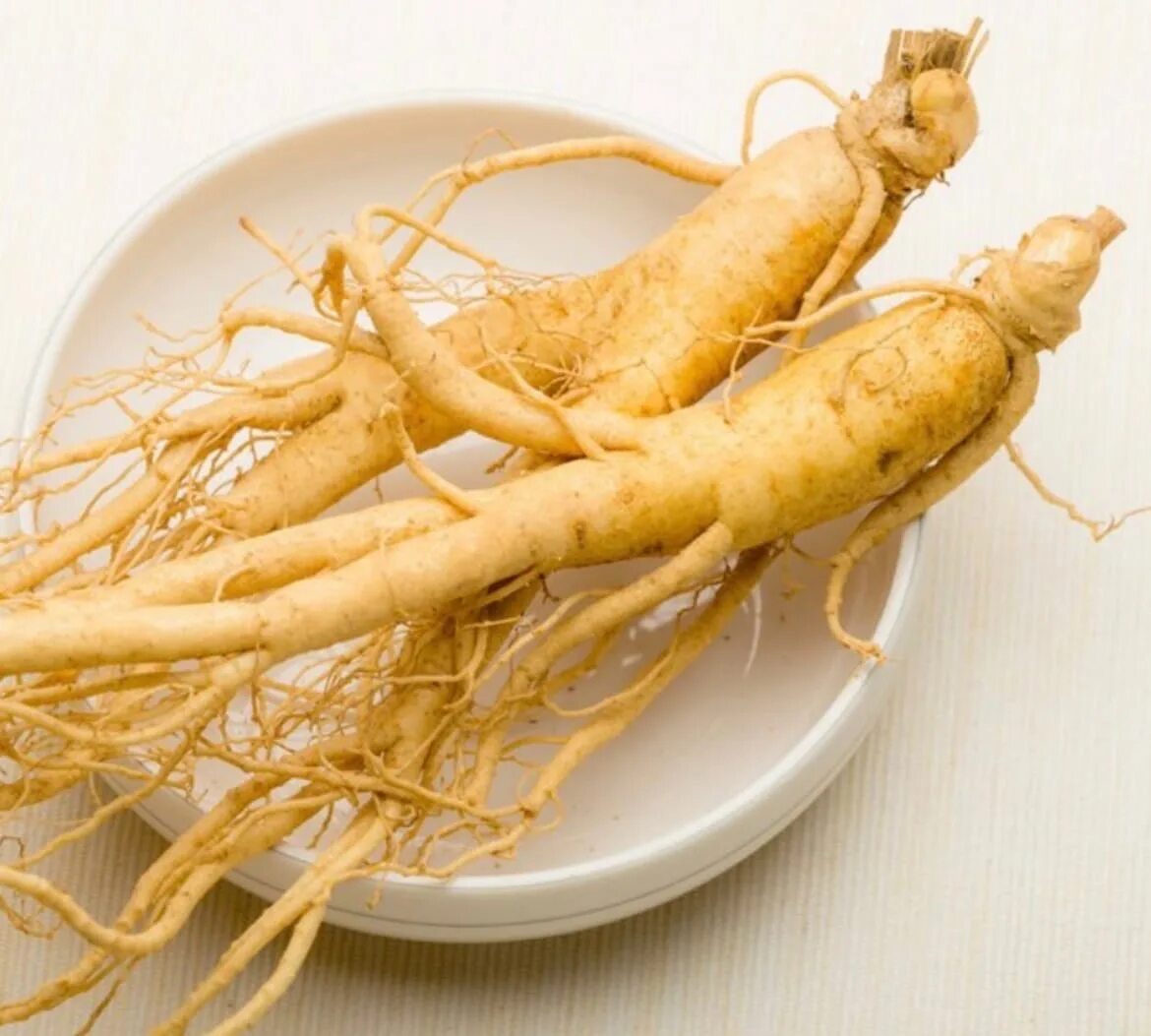 Долголетие корень. Panax Ginseng. Корень женьшеня. Горный женьшень. Экстракт корня женьшеня.