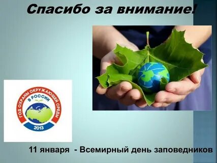 Внимание к окружающей среде и