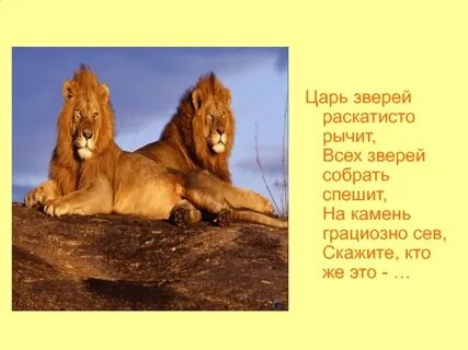 Песни царь зверей